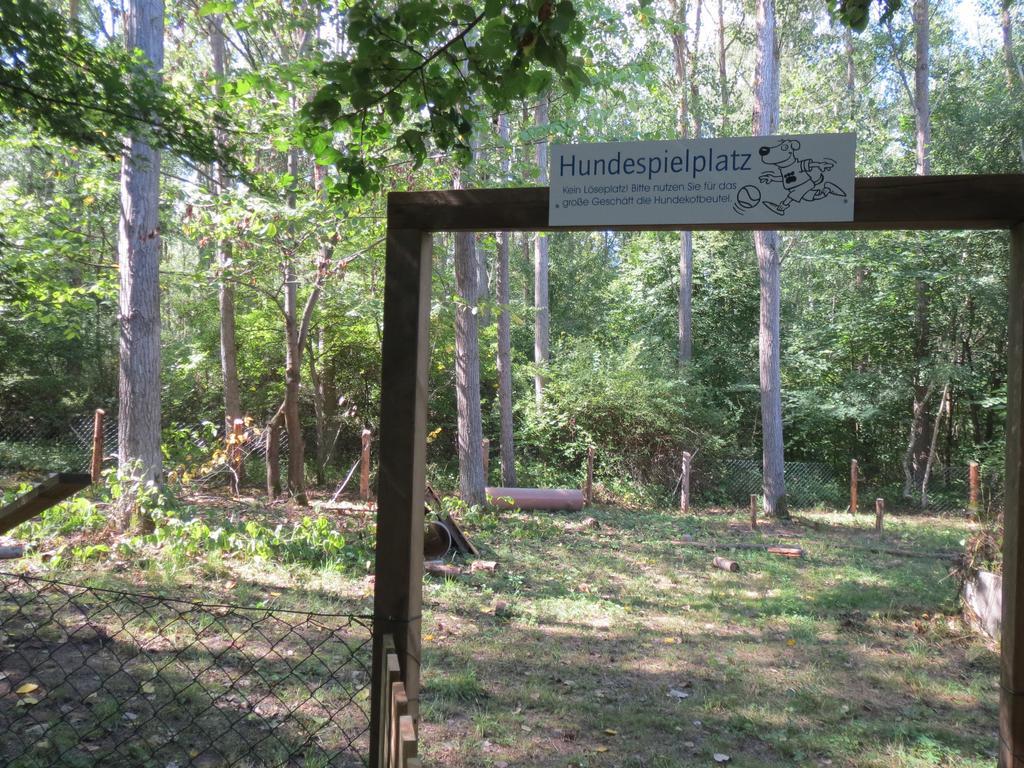 Mueritzparadies - Feriendorf Alte Fahrt Rechlin Ngoại thất bức ảnh