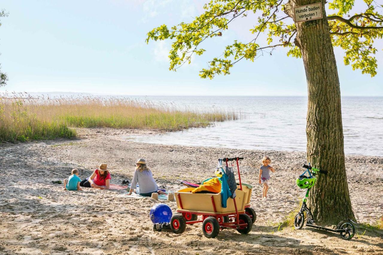 Mueritzparadies - Feriendorf Alte Fahrt Rechlin Ngoại thất bức ảnh