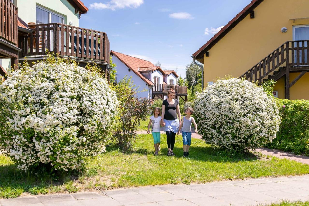 Mueritzparadies - Feriendorf Alte Fahrt Rechlin Ngoại thất bức ảnh